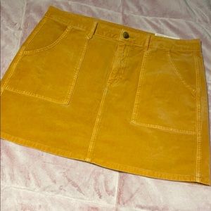 Corduroy A-Line Skirt